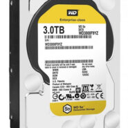 هارد اینترنال وسترن دیجیتال 3 ترابایت گلد WD3002FRYZ Gold